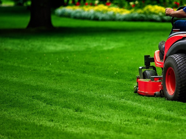 Mcadoos lawncare 01 xsmall orig